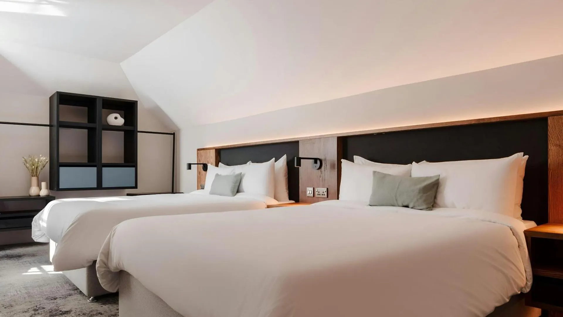 The Earl Hotel Leeson Street, Sonder By Marriott Bonvoy Dublin