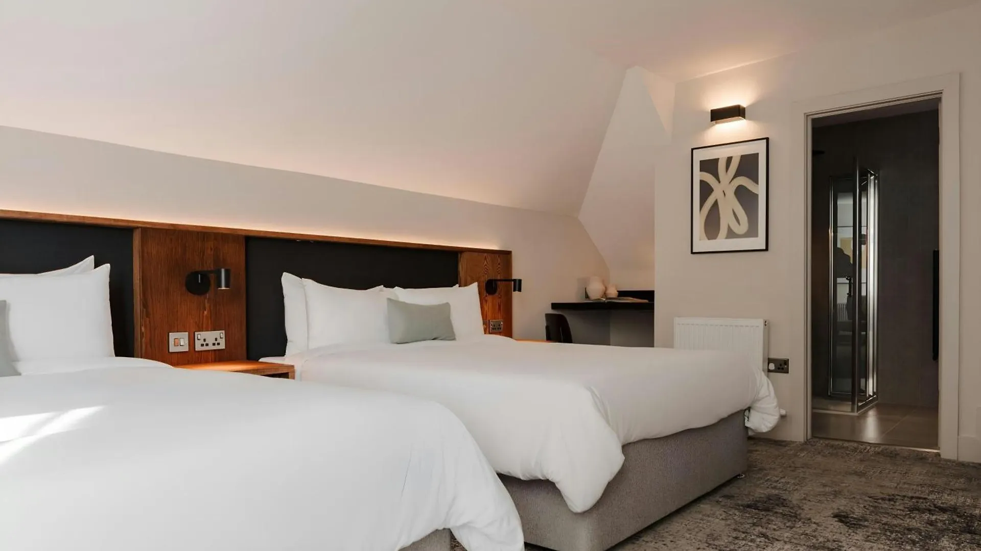 The Earl Hotel Leeson Street, Sonder By Marriott Bonvoy Dublin